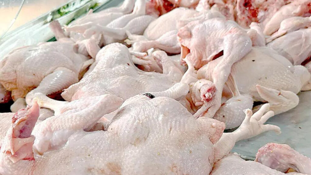 Producción nacional fortalece la oferta y favorece precios del pollo desde RD$70 y RD$85
